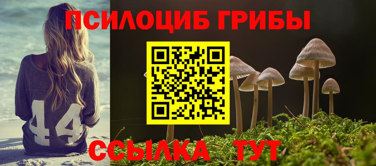 Галлюциногенные грибы Magic Shrooms Барнаул